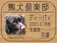 DOGLAB�����HP��GO!